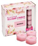 HYOOLA Scented Tealight Candles - Clear Cup - Magnolia Tealight Candles Scented - 6 Hour Burn Time - 15 Pack - European Made