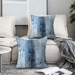 Mondiafy 2 Pack Throw Pillow Covers Soft Touch Plush 18x18 Abstract Artwork Cushion Covers Decorative Modern Gallery Style Pillow Cases for Sofa Couch Home Decor Decorations(Blue Gray)