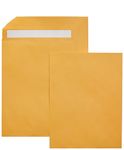 AmazonBasics Catalog Mailing Envelopes, Peel & Seal, 10x13 Inch, Brown Kraft, 100-Pack