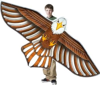 Ynanimery Eagle Kite for Kids & Adults, String Line Included Easy Flyer Large Kites for Beginner, Beach Kites for Outdoor Activities & Family Trip