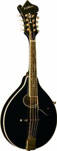 Washburn Americana M1SD, Mandolin