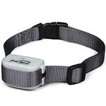 Dog Shock Collar Fence