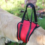 Dog Lift Support Harness for Large Dogs Portable Dog Sling for Back Legs L Red