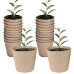 BHSDZX Seedling Pot Biodegradable Plant Pots Round Fibre Seed Pots 50 Pcs Germination Nursery Starter Pot for Plant Cultivation Compostable Containers