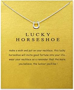 Baydurcan Horseshoe Necklace with Message Card Gift Card (Silver Horseshoe)