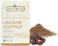 Root2Leaf Organic Aritha Powder | Reetha | Ritha |Soapnut Powder | Sapindus Mukorossi, 100% Pure Natural and Organic Reetha Powder for Natural Hair and Skin Care – (227 Gms)