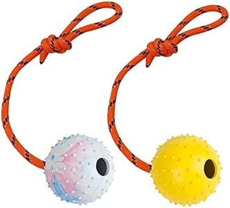 Nevperish 2 Pack Dog Ball, K9 Ball on Rope for Reward, Fetch, Play (7cm)