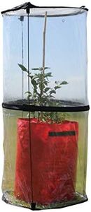 Haxnicks Pop-Up Tomato Cloche | Tomato Plant Protection Against Blight Slugs Harsh Weather | Transparent, 50 x 50 x 110 cm | Cloche010101