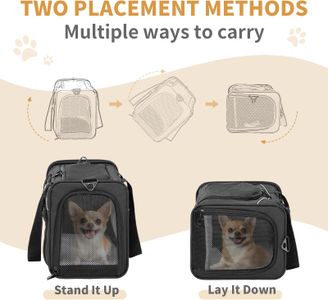 Petsfit Airline Approved Cat Carrier – Foldable, Large, Black, for Cats & Small Dogs