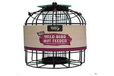 Natures Market BF008N Squirrel Guard Nut Feeder, 1