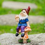 Garden Gnome Statue Heigth 7.7 Inch Outdoor Decor Polyresin Gnome Holding Mashroom