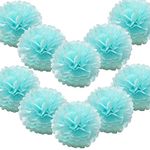 10 Pack Tissue Paper Pompoms Pom Poms Flower Handmade Wedding Party Decorations Balls | Light Blue, 8"(20cm) |