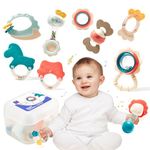 hahaland Montessori Baby Toys 0-6 Months – 10 PCS Baby Rattle Teething Toys with Storage Box, Multi-Function Infant Silicon Sensory Toys as Newborn Gift – Promotes Visual, Auditory & Grasping Skills