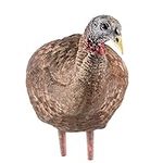 AVIAN-X LCD Breeder Hen Turkey Deco