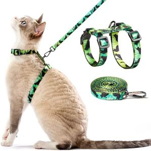 Cat Harnes