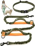 Exquisite Hands Free Dog Leash for Large Dogs | Dog Waist Leash | Dog Running Leash | Laisse Main Libre Pour Chien | Bungee Dog Leash | Dog Walking Belt | Jogging Canicross Belt | Dog Hiking Gear