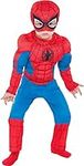 Party City Classic Spider-Man Muscl