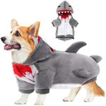 Dog Shark 