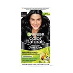 Garnier Color Naturals Creme Hair Color - Shade 1 Natural Black (70ml + 60g)