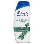 Head & Shoulders Itchy Scalp Shampoo, 613ML White,Blue,Green,1