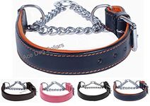 Petsafe K9 Training Collars