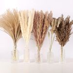 N&T NETING 75Pcs Pampas Grass Decor