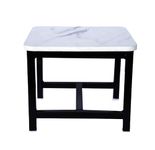 House Plant Iron Durable Stool for Home & Garden/Home/Doctor Warehouse Stool/Garage Stool/Stool for Bathroom/Multipurpose White Stool, 1 PC (30.5 X 30.5 X 25.5)