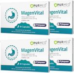 purmeo 4 Pack MagenVital Pylopass H. Pylori Treatment Probiotics - 1 Per Day - Gastritis, Acid Reflux, Heartburn, Stomach Lining Repair - Lactobacillus Reuteri DSM17648 - Made in Germany