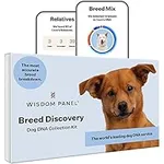 Wisdom Panel Breed Discovery Dog DN