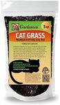 Premium Cat Grass Potting Mix by Ga