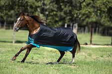 Horseware Amigo Mio turnout horse winter cover, medium, schwaz-türkis