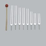 TFS TUNINGFORKSHOP 8 Pc Fibonacci Tuning Fork for Healing with Mallet & Pouch