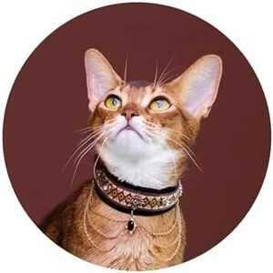 European Vintage Handmade Velvet Cat Choker Collar (XS (6.7", 4.4 lbs), Egyptian-Circular Fringe)