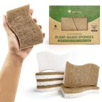 AIRNEX Natural Kitchen Sponges Pack of 6, Cellulose & Coconut Dish Sponge, Walnut Scrubber Sponges, Plate Friendly, No Scratch Eco Dishwashing Sponge for Washing & Cleaning, Quick-Drying, Odor Free