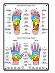 Hand Reflexology Chart Metal Tin Si