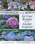 Hydrangeas in the North: Getting Bl