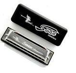 ALL IN HERE New Silver Swan Harmonica 10 Hole Key of C for Blues Rock Jazz Folk Harmonica UK