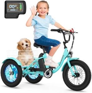 NAIZEA Electric Kids Bike - 16 inch Kids Trike for Boys Girls Age 6-16, e Bike for Kids 250W, Kids Balance Bike with Adjustable Seat,Kid's Bikes with Basket, Children Bicycle Multiple Colors