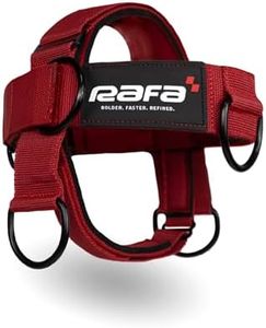 Iron Neck Neck Trainer, Exerciser, & Strengthener with Adjustable Head and Chin Strap - Portable Head Harness for Weight Lifting, Home, & Gym Use - Exercise & Workout Equipment (Rafa, Red)