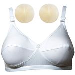 Sadhcanc Care Women's Cotton Padded, With Removable Pads Wire Free Everyday Bra White