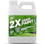 2X Green Grass Paint for Lawn, Idea