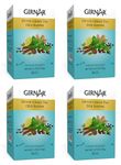 Girnar Detox Green Tea (36 Tea Bags) Pack Of 4,560 grams