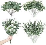 90 Pcs 3 Kinds Mixed Eucalyptus Lea