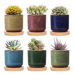 T4U 6cm Ice Crack Serial Ceramic Succulent Plant Pot Set of 6, Small Plant Pots with Tray for Cactus Succulent, Mini Colourful Planter Garden Gifts, Round Container for Small Plants Indoor Decoration