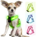 PZRLit Light Up Dog Harness for Small Dogs Rechargeable, LED Dog Vest Harness, Adjustable Illuminated Glow in Dark Dog Harness for Puppy Night Safety Walking 360° True Illumination-Green