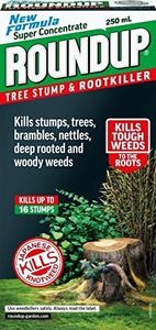 Tree Stump