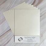 Get Inspired 9 x 12 inch 250GSM Ivory Pearlescent Cardstock Sheets Suitable for Scrapbooking,Card Making,Paper Crafts,DIY Projects,Educational Activities (Pack of 10)