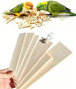 AMZSHARK Large Untreated Balsa Wood Bird Chew Toys 6 Pack with Mount Clip, Multi Size Thick Wood Slice Perch Foraging Toy for Parakeets Conures Cockatiels Lovebirds Small Medium Parrots