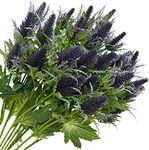 FiveSeasonStuff 8 Stems Real Size A