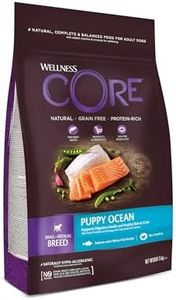 Wellness CORE Puppy Ocean 5kg, Salmon & White Fish – Dry Dog Food for Small & Medium Breed Puppies, Grain-Free, Natural, Hypoallergenic, Protein-Rich, High Fish Content, Brain & Eye Development